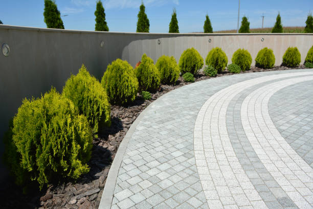 Best Professional Driveway Pavers  in Conneaut Lakeshore, PA